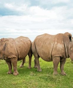 Rhinos Animals Diamond Paintings