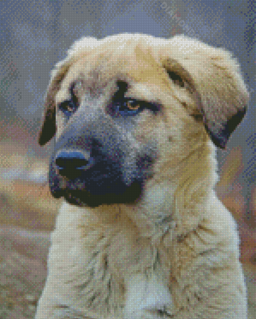 The Anatolian Dog Diamond Paintings