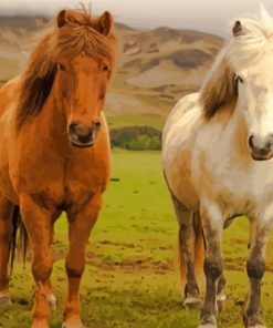 White And Brown Icelandic Pony Horses Diamond Paintings