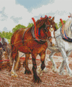 White Brown Clydesdales In Farm Diamond Paintings