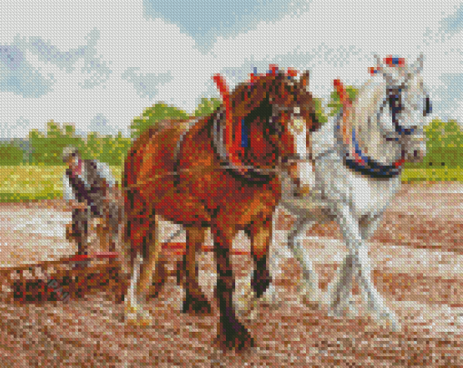 White Brown Clydesdales In Farm Diamond Paintings