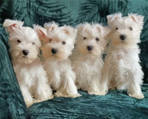 White Miniature Schnauzer Puppies Diamond Paintings