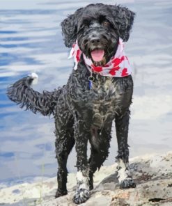 Aesthetic Portuguese Water Dog Diamond Paintings