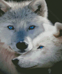 Aesthetic Wolf Couple Diamond Paintings