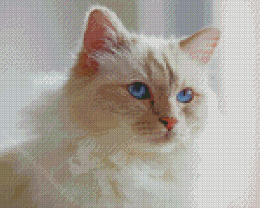 Aesthetic Birman Cat Diamond Paintings