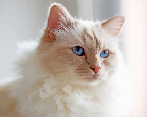 Aesthetic Birman Cat Diamond Paintings