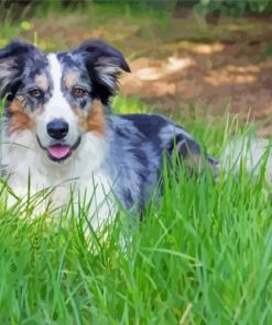 Aesthetic Blue Merle Dog Diamond Paintings