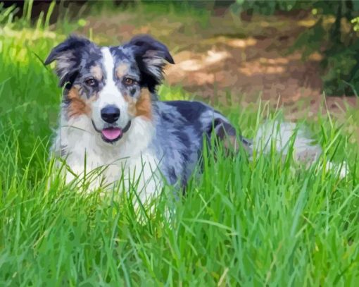 Aesthetic Blue Merle Dog Diamond Paintings