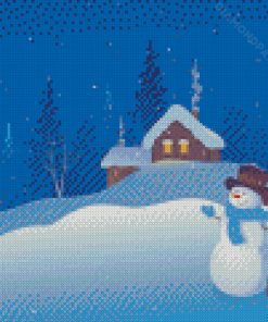 Aesthetic Night Snowfall Art Diamond Paintings