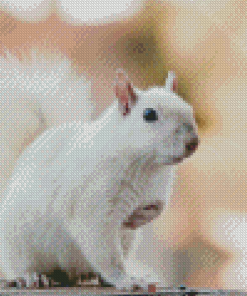 Albino Squirrels Diamond Paintings