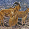 Aoudad Sheeps Art Diamond Paintings