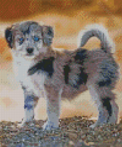 Aussiedoodle Dog Diamond Paintings