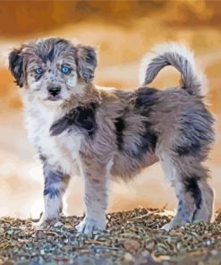 Aussiedoodle Dog Diamond Paintings