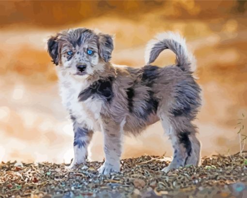 Aussiedoodle Dog Diamond Paintings