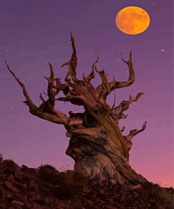 Bristlecone Pine Tree With Fall Moon Diamond Paintings