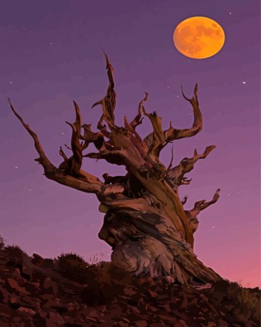 Bristlecone Pine Tree With Fall Moon Diamond Paintings