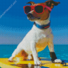 Cool Beach Dog Diamond Paintings