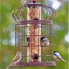 Cool Bird Feeder Diamond Paintings