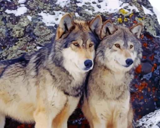 Cool Wolf Couple Diamond Paintings