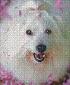 Cute White Cotton Tulear Dog Diamond Paintings