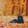 Flat Coated Retriever Fall Leaves Diamond Paintings