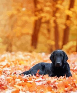 Flat Coated Retriever Fall Leaves Diamond Paintings