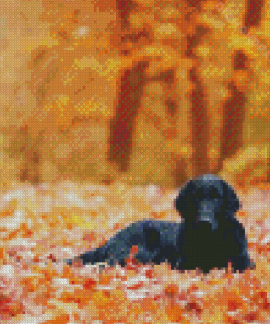 Flat Coated Retriever Fall Leaves Diamond Paintings