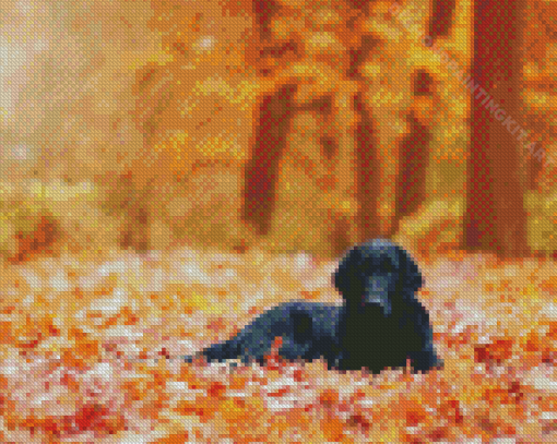 Flat Coated Retriever Fall Leaves Diamond Paintings