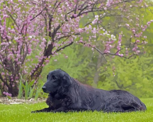 Flat Coated Retriever Sitting Diamond Paintings