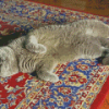 Grey Cat On Persian Rug Diamond Paintings