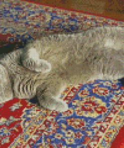 Grey Cat On Persian Rug Diamond Paintings