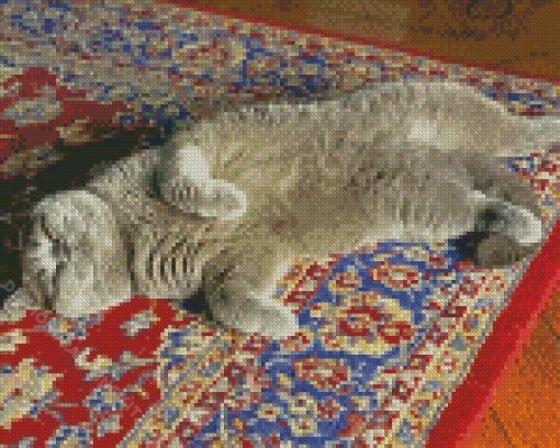 Grey Cat On Persian Rug Diamond Paintings