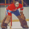 Ken Dryden Diamond Paintings