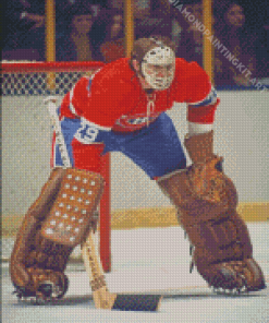 Ken Dryden Diamond Paintings