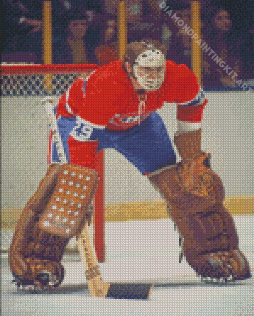 Ken Dryden Diamond Paintings