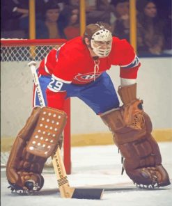 Ken Dryden Diamond Paintings