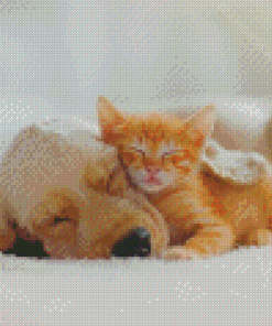 Sleeping Beige Dog And Cat Diamond Paintings