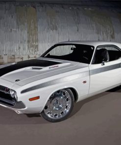 White 70 Challenger Diamond Paintings