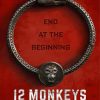 12 Monkeys Poster Diamond Paintings