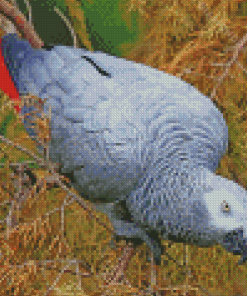 African Gray Parrot Diamond Paintings