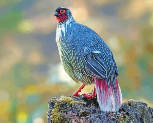 Black Blood Pheasant Bird Diamond Paintings