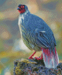 Black Blood Pheasant Bird Diamond Paintings