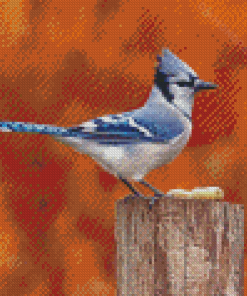 Blue Jay Bird Diamond Paintings