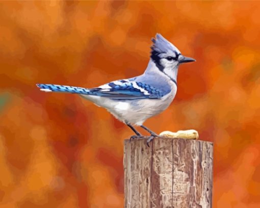 Blue Jay Bird Diamond Paintings