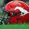 Calgary Stampeders Football Helmet Diamond Paintings