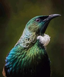 Close Up Tui New Zealand Bird Diamond Paintings