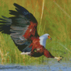 Eagle Hunting Fish In The River Diamond Paintings