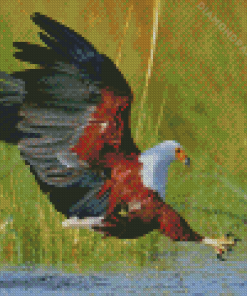 Eagle Hunting Fish In The River Diamond Paintings