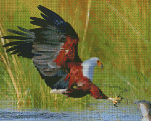 Eagle Hunting Fish In The River Diamond Paintings