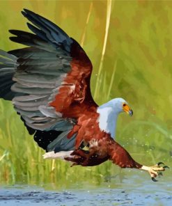 Eagle Hunting Fish In The River Diamond Paintings